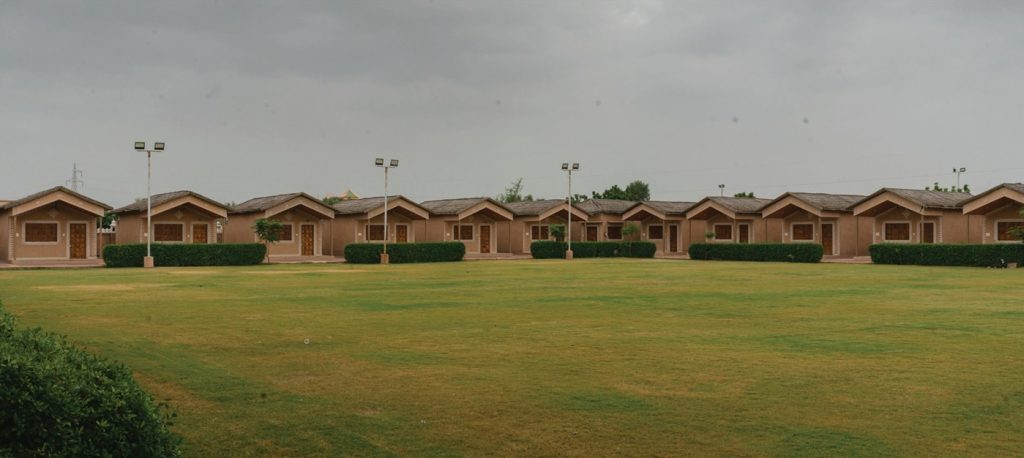 WhatsApp Image 2026-02-20 at 17.11.04 (1)