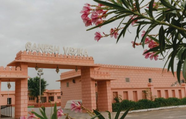 WhatsApp Image 2026-02-20 at 17.11.05 (2)