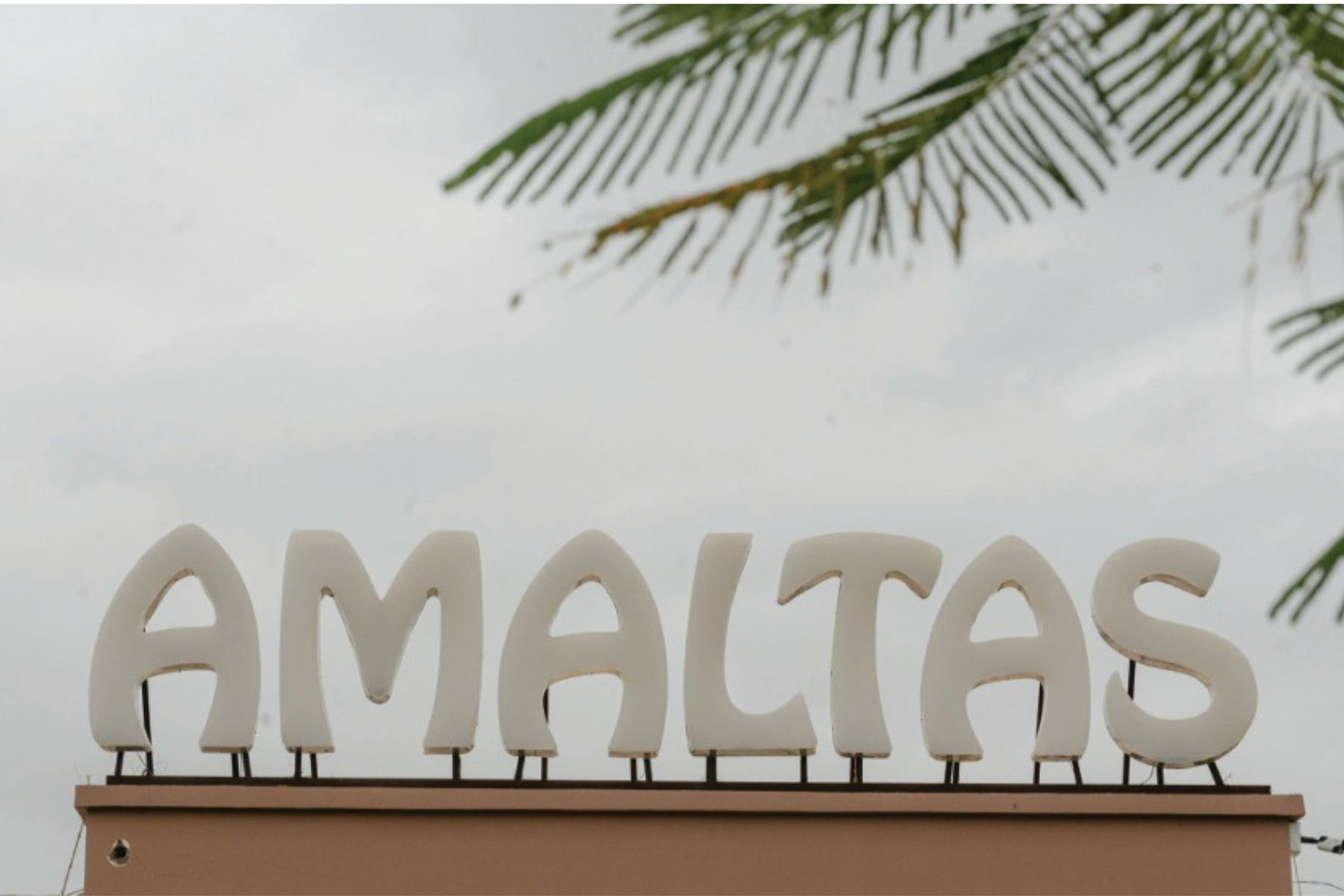 Untitled design (42)