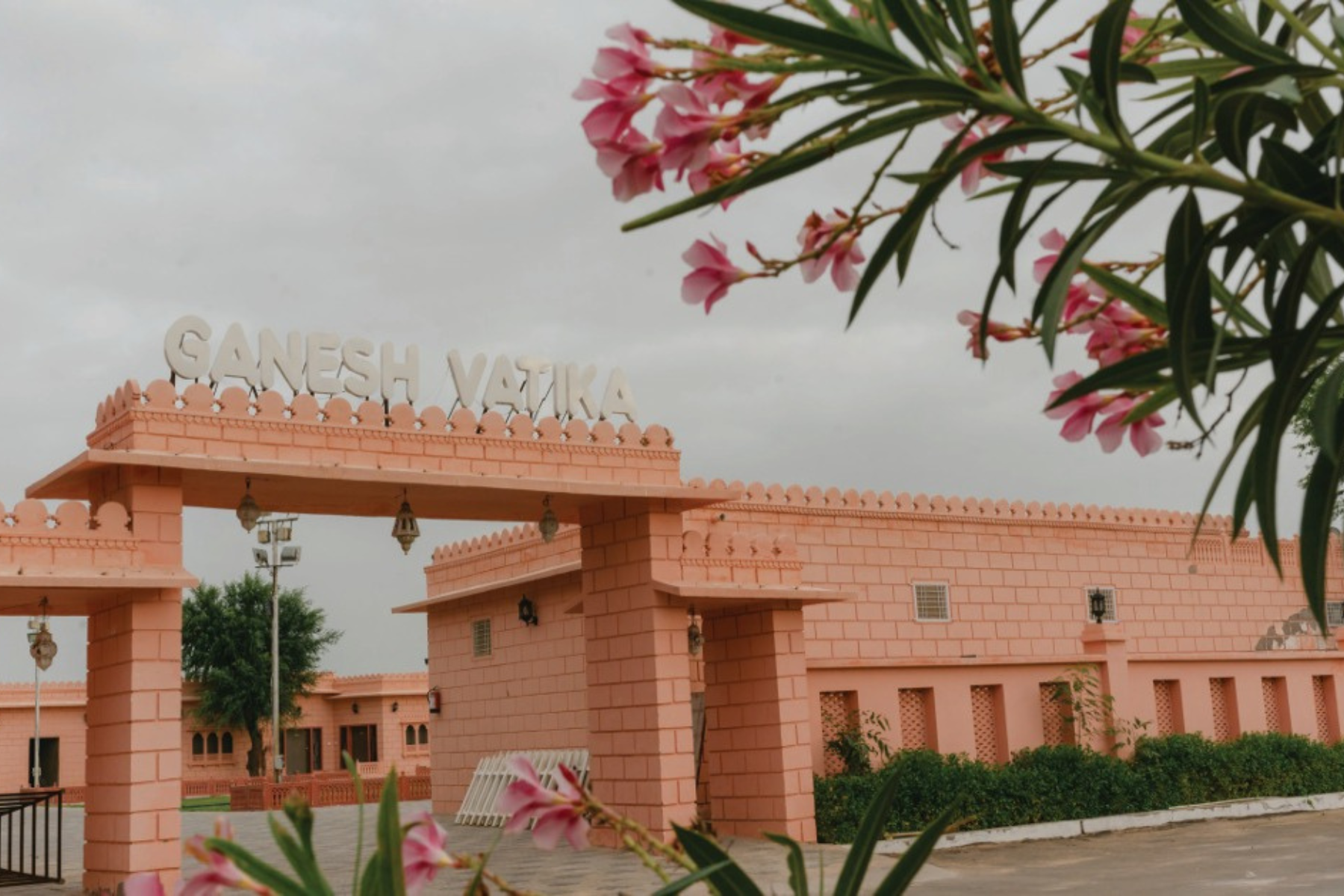 Untitled design (44)